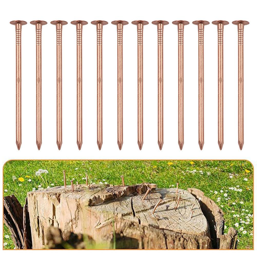 12 Stück Baumkiller-Nägel 4-Zoll-Kupfernägel zum Töten von Bäumen, Baumstumpfwurzel, Stumpfentfernungs-Spikes, Hardware, Gartenhandwerkzeuge