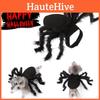 Cute And Funny Pet Spider Costume For Halloween