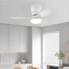 3 Adjustable Light Colors Modern LED Lighting Fan 6 Speed Adjustable Ceiling Fan Light Living Room  Kitchen Balcony Fan Lamp