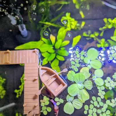 Schwimmendes Mini-Ruderboot Aquarium Dekoration Miniatur Ruderboot Figur mit 2 Paddeln Winzige Bootsstatue Aquarium Ornament