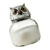 Stylish Themed Glass Spice Jars Ideal For Kitchen Decoration And Special Occasion Like Parties And Celebrations