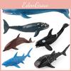 Wildlife Children Ocean Sharks Blue Whales Dolphins Model Kids Gift Decoration