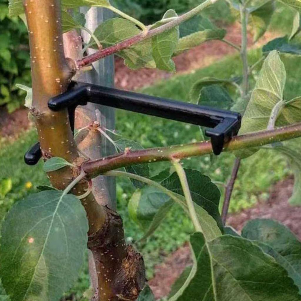 Branch Puller 20 Pieces Straightening Tool Fruit Tree Branch Puller For Repair Staking Leaning Gardening Backyard Potted Plants