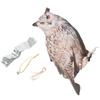 Owl Scare Bird Scarer Scare Birds Away Bird Control Devices