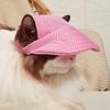 Kulak Delikli Pet Şapka Nefes Alabilir Örgü Ayarlanabilir Küçük Köpekler Kediler Teddy Pug Chihuahua Shih Tzu Yorkshire Teriyer Köpek Beyzbol Şapkası Açık Seyahat