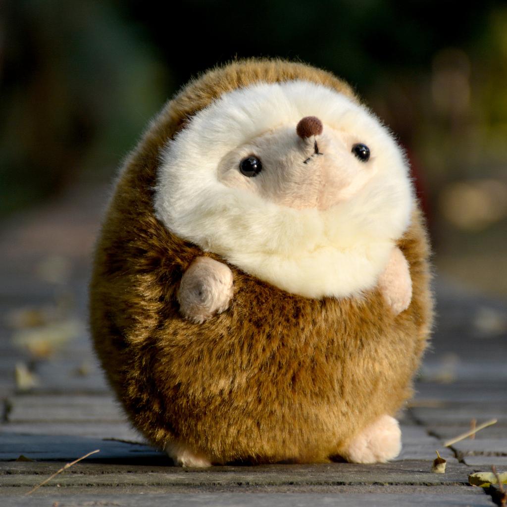 H17Cm Cute Realistic Hedgehog Plush Toy Chubby Hedgehog Plushie Stress Relief Toy Kids Girl Birthday Gift
