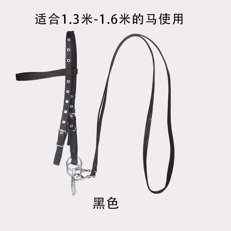 Standard Thread Plate Riding Bridle Reins Suitable for Horses and Ponies