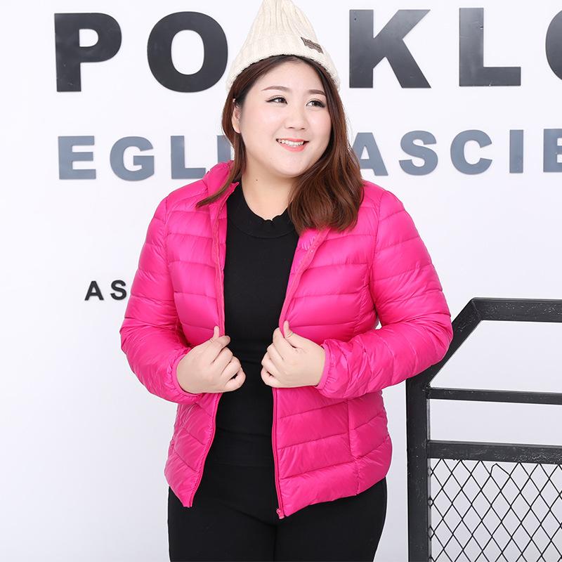 plus lightweight jacket