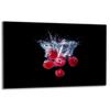 GLASS PROTECTIVE PLATE FOR STOVE 80x52 FRUIT