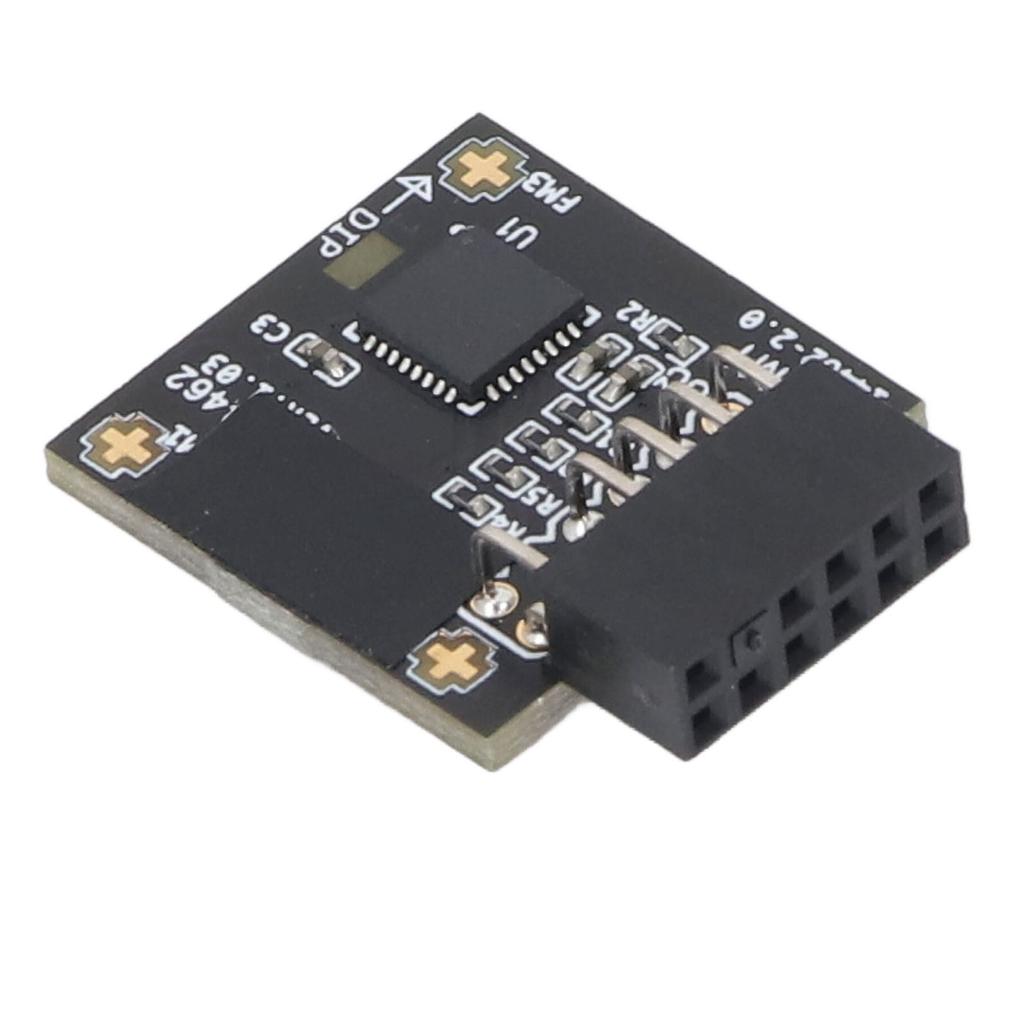 TPM2.0 Module TPM SPI 12Pin Module with SLB 9670 Security Module for Windows 10 11 Motherboards