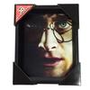 Póster 3D - Harry Potter - Harry/Voldemort - Multicolore - Contemporain - Rectangulaire