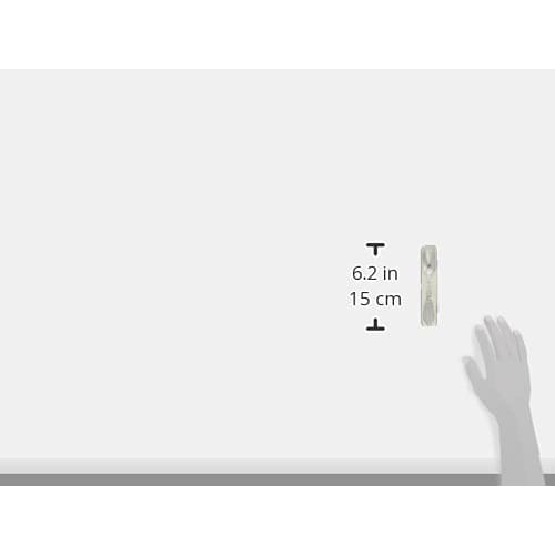 Takakuwa Metal Lunch Spoon with Case, Leaf, White, 005147