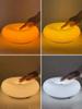 Retro Glass Wall Lamp Orange Light USB Plug For Living Room Bedroom Study Stairway Indoor Tricolor Ambient LED Lighting Fixture