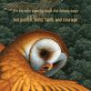 Guardians of Ga'Hoole 5-Book Sets