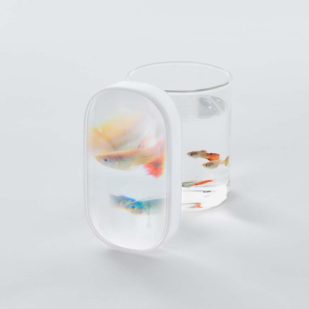 h concept +d Gulliver Frame, Gray, DA-1340-GY, Lightweight, Pocket-Sized, Resin-Made Magnifying Glass