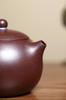 Handcrafted Yixing Zisha Xi Shi Red Clay Teapot Set