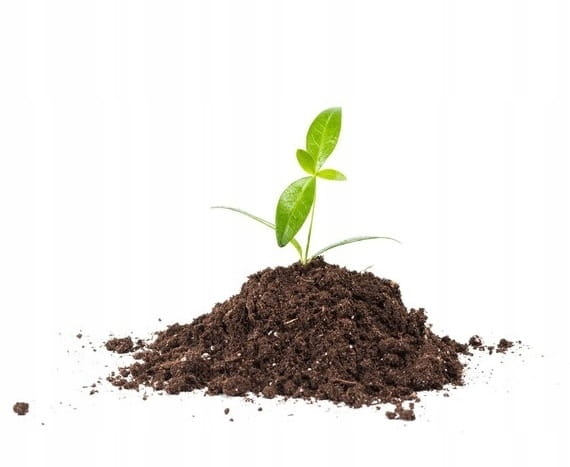 Universal garden soil 5565 pH for flowers 20L