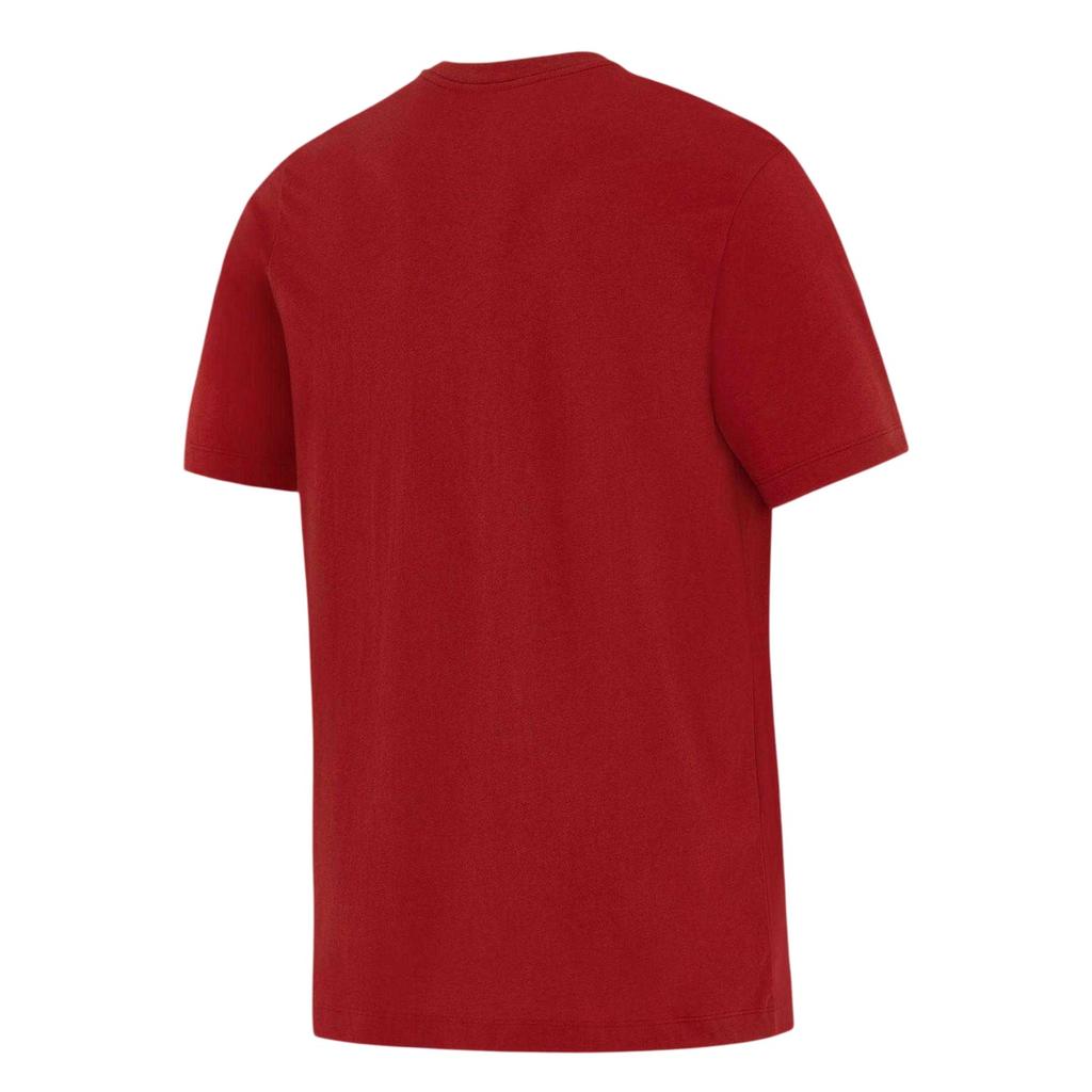 Nike Mens British & Irish Lions T-Shirt