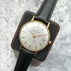 Used 1960s Royal Orient Record Dial 21 Jewels Manual Wind