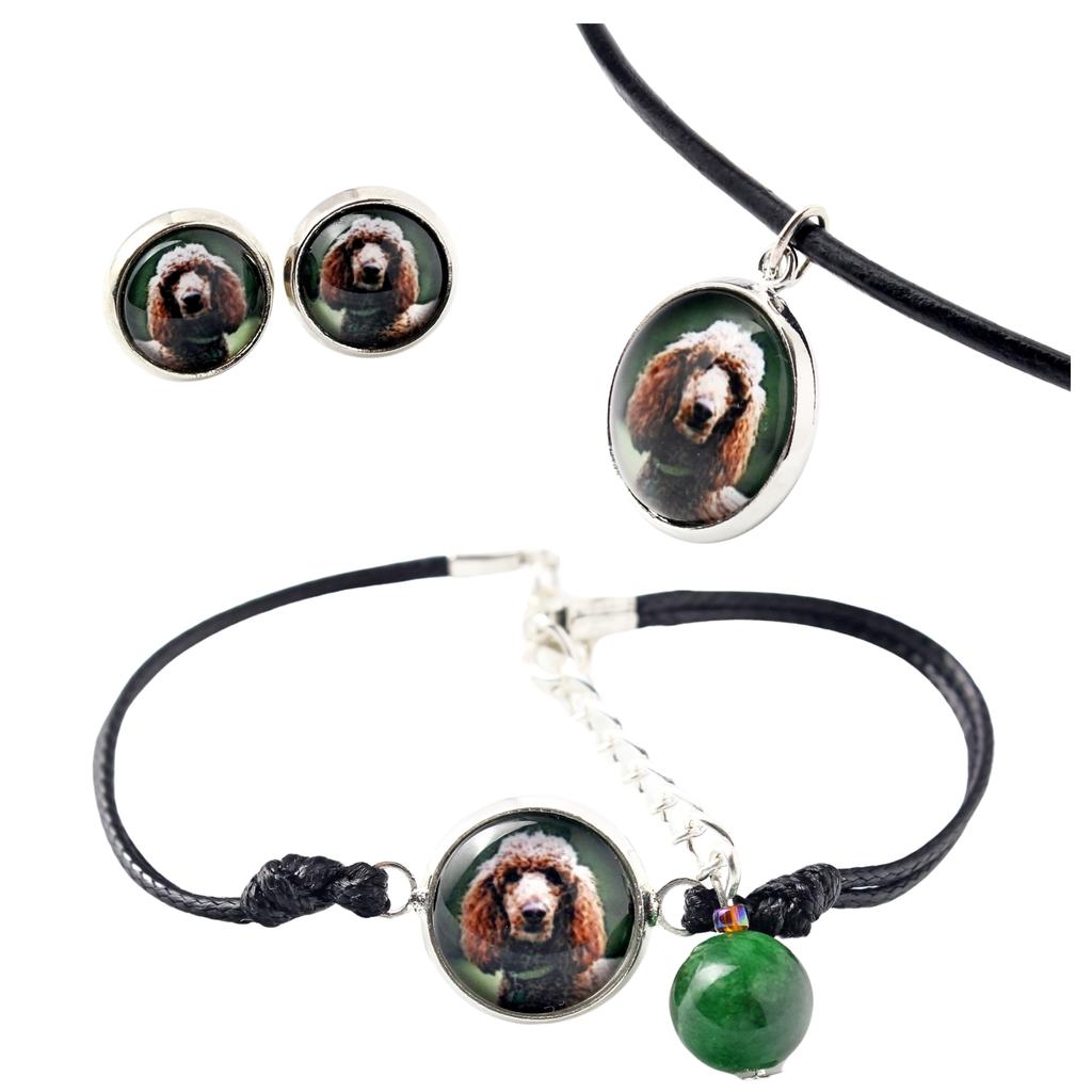 Poodle – A set of jewelry in a box, necklace | Art-Dog