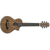 Gitarren, Ukulele, Mandolinen – Gitarren