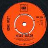 7inch Record GONE WEST  Hello Sailor CBS7990 CBS 1972 UK Pop Used