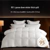 Yuanshenghuo Class A 95% White Goose Down Winter Comforter