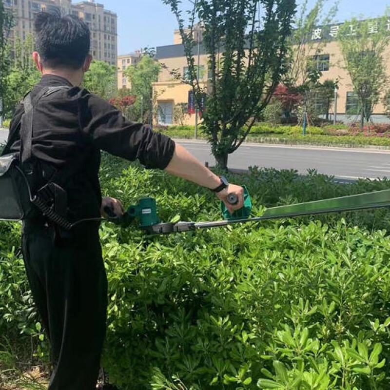Qinyan Electric Portable Hedge Trimmer & Pruner CN Plug (adapter Included)