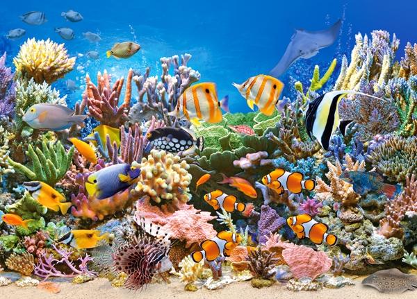 Puzzle 260 pieces B-27279-1 Colors of the Ocean