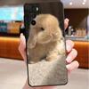 Rabbit Animal Phone Case For Motorola Edge 60 50 40 Pro 60 50 40 30 Ultra Neo Fusion Moto G Play G Stylus G Carcasas