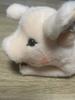 Steiff Little Friends Sissy the Pig Plush Toy