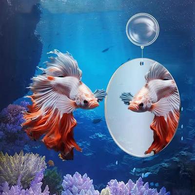 Akvarijní akrylové zrcátko pro trénink bojovnic, plovoucí zrcátko do akvária pro ryby Betta, Flowerhorn, Cichlidy, akvarijní dekorace