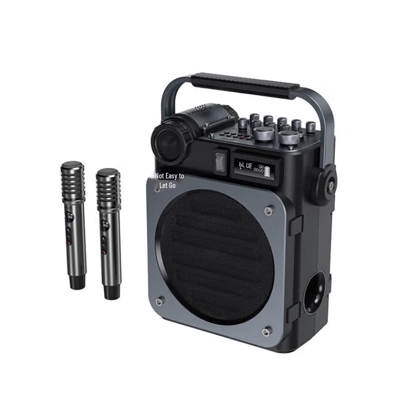 Shidu D6 High-Power Portable Speaker CN Plug (adapter Included)