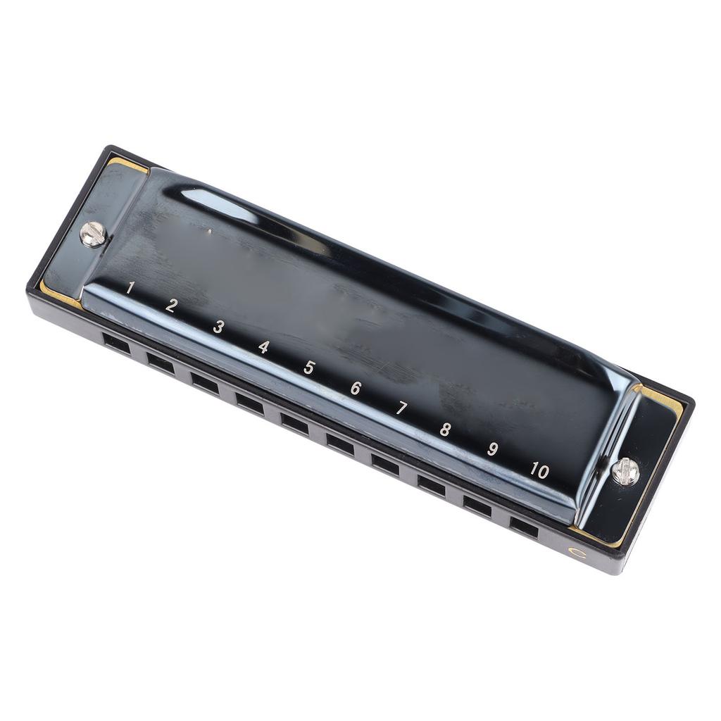 Schwarze Mundharmonika C-Dur 10 Löcher Blue Harp Edelstahl Harz Verdickte Abdeckung Mundorgel