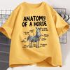 Anatomy of A Horse T Shirt Funny Horse Lover Tshirt Unisex WOMEN Graphic Streetwear Short Sleeve Tshirt Harajuku Unisexs Clothing
