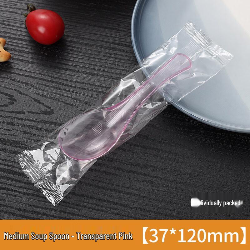 ZISIZ Small Disposable Plastic Spoons