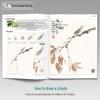 Children's Chinese Painting: Basics In Fish, Insects, Flowers, and Birds