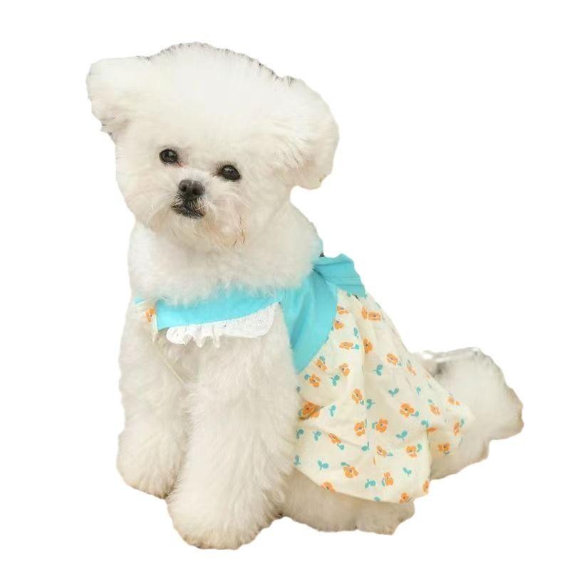 Dog Clothes Autumn Pet Teddy Bichon Pomeranian Small Dog Puppy Skirt Autumn Thin with Leather