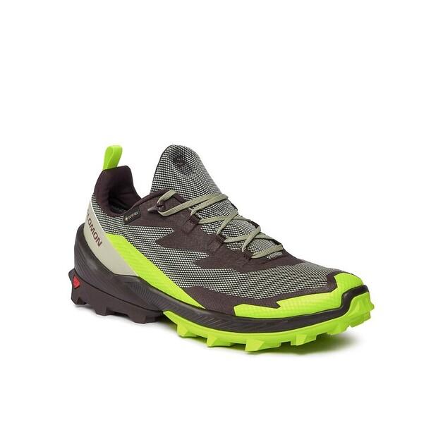 

Треккинговая обувь Salomon Trekkingi Cross Over 2 GORE-TEX L47268600 Zielony