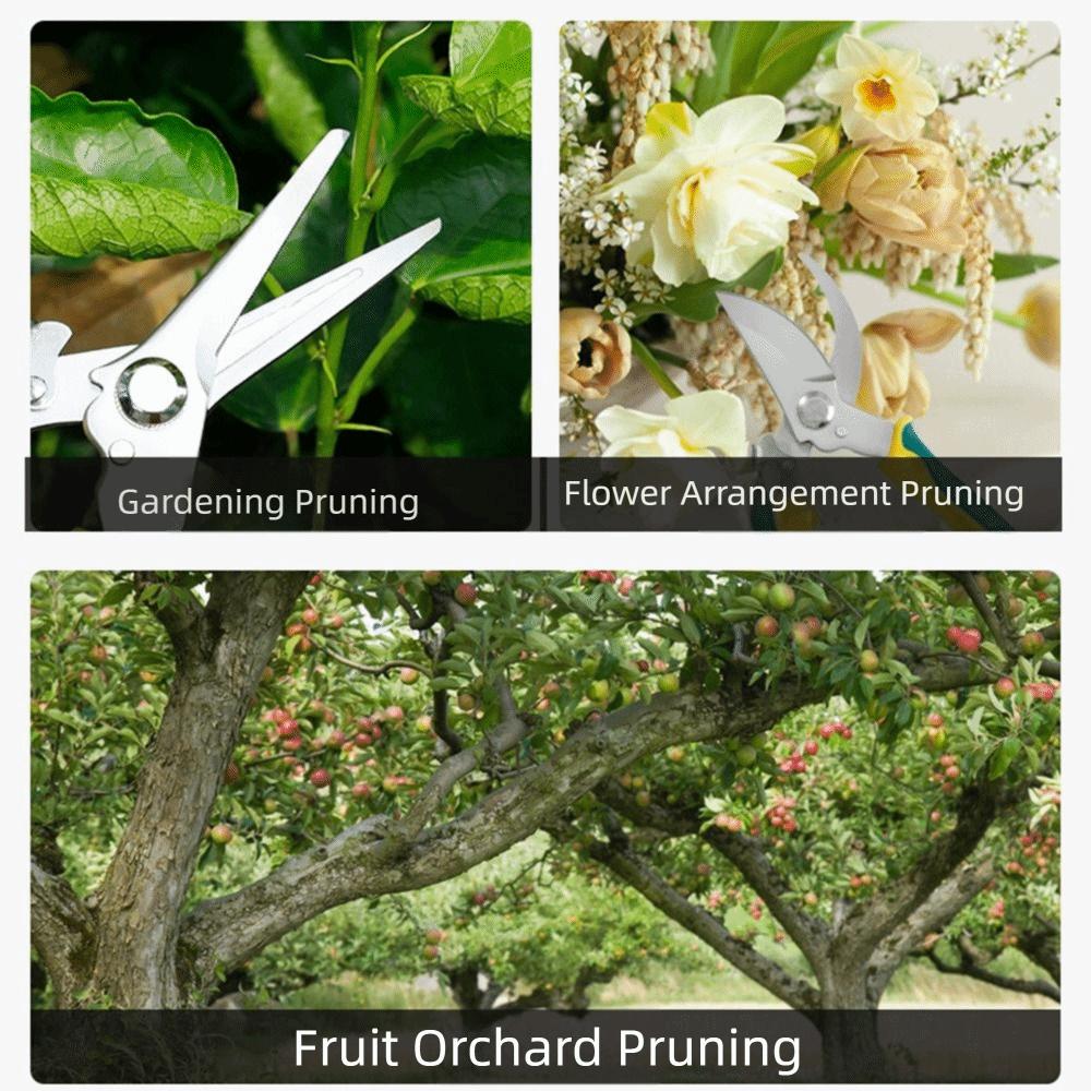 Stainless Steel Pruning Shears Ergonomic Handle Safe Lock Tree Branch Trimmer Comfortable Grip Shock Absorbing