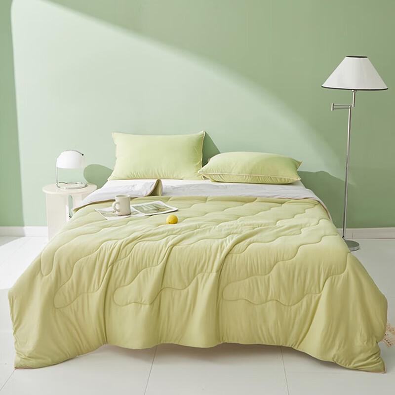 

Jieliya Cooling Antibacterial Summer Quilt