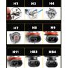 10Pcs H1 H4 H7 H11 9005 HB3 9006 HB4 Car Halogen Bulbs 12V55W Headlight Lamp H3 H8 Fog Lamps 9012 Clear Car Bulb Wholesale Bulbs 7