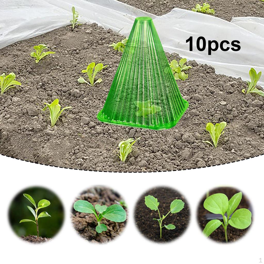 Frost Protection Solutions with Reusable Garden Cloches for Plants