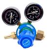 Heated Nitrogen & CO2 Pressure Regulator with Gauge (CN version)