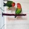 Parrot Supplies, Bird Claw Sticks, Bird Sandblasting Sticks, Apple Wood Non-Sichuan Pepper Wood Standing Poles, Bird Cage Standing Poles
