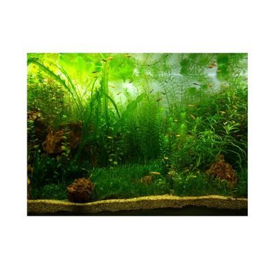Water Grass Style Aquarium Fish Tank Background Poster PVC Adhesive Decor Paper (76*46cm)