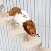 Bite Resistant Platform Jumping Board Scratching Surface Small Pets Stairs  Pet Cage