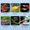 Floating Fish Breeding Isolation Box Fish Tank Hatching Incubator Small Fish Birthing Room Incubator Fish Breeding Isolation Box