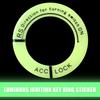 3pcs Luminous Ring Sticker Luminous Key Ring Sticker Fluorescent Luminous