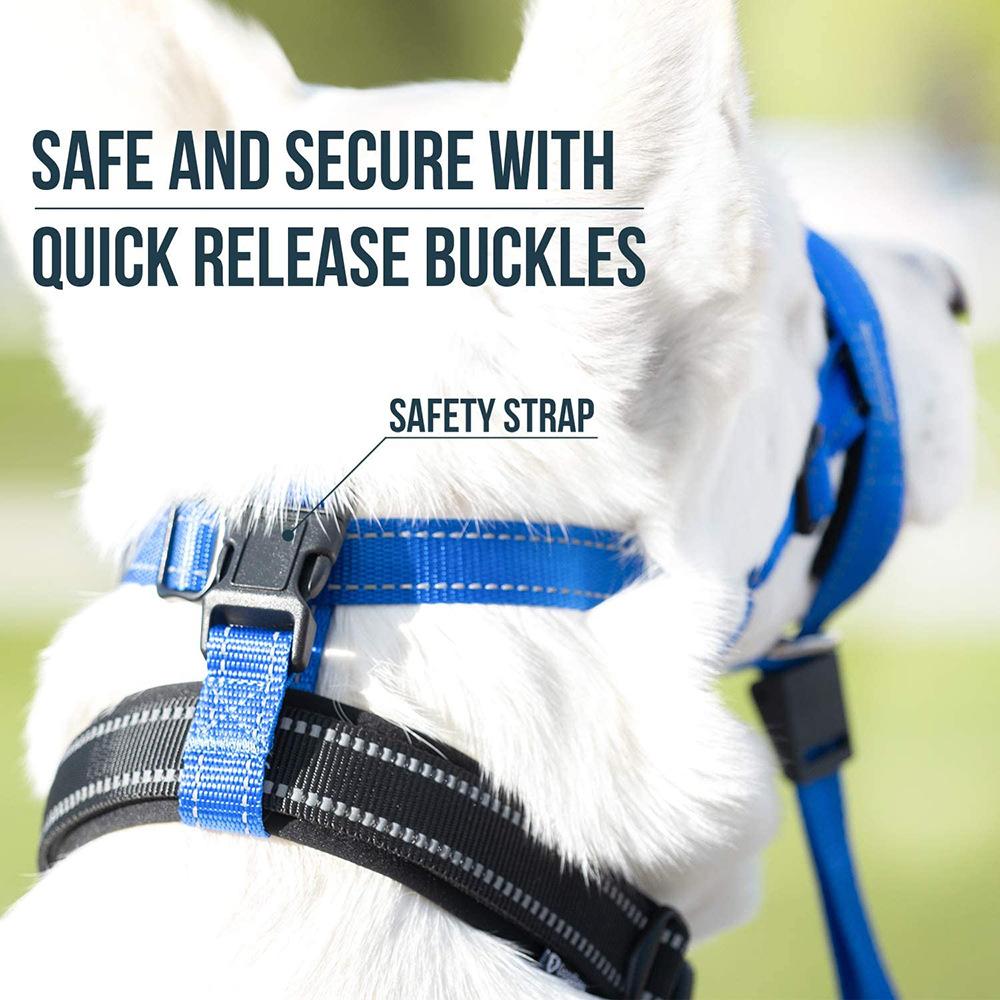 Dog Muzzle Adjustable Anti-bite Mask Pet Traction Set Dog Muzzle Training With Pet Muzzle